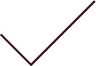 Icône de validation